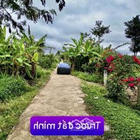 B058. Tam Giang - Krông Năng - Đắk Lắk . Lốc 06 Lô Thổ Cư