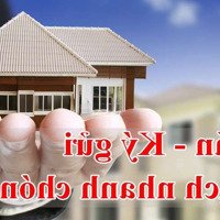 Nhà Bán Hẻm Nhựa 12M Âu Cơ Ngay Vòng Xoay Lê Đại Hành