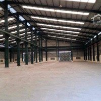 Cho Thuê Xưởng 1700M2 Tân Phú Trung Củ Chi