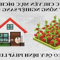 Dịch Vụ Làm Sổ Uy Tín Tại Hòa Bình, Gửi Niềm Tin - Trao Giá Trị, Cam Kết Chất Lượng Dịch Vụ