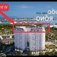 Mở Bán Cặp Căn Hộ Duplex Cực Phẩm Tại Dự Án The Dragon Castle, Giá 23,5 Tr/M2 Chỉ Bán Trong Tháng