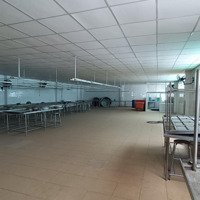 Cho Thuê Nhà Xưởng, Kho Lạnh, Diện Tích 1.200M2 Tại Đường Dương Cát Lợi, Nhà Bè