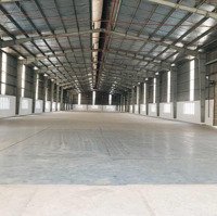 Cho Thuê Xưởng 1200M2 Giá Chỉ 96 Triệu/Tháng Tại Kcn Hải Sơn - Đức Hòa - Long An