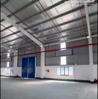 Cho thuê 11.000m2 kho, xưởng mới xây dựng ở KCN Lộc Sơn, Bảo Lộc, Lâm Đồng