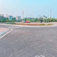 Bán Đất Đấu Giá - Lô Góc - Khu Chăn Nuôi, Xã Đồng Tháp, Huyện Đan Phượng. 61-63M2.