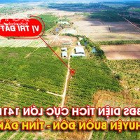 Bán Hơn 140 Ha Đất Nông Nghiệp Huyện Buôn Đôn, Đắc Lăk