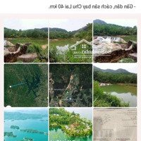 Đăk Nông:..*** 2000M2 Có 100 Thổ Cư & 1 Khung Nhà Cấp 4 + View Ruộng.