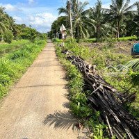 Đất Mặt Tiền Dal Ô Tô Đến Đất Cách Trung Tâm Tp Trà Vinh 2,5Km