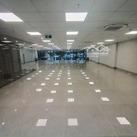 Cho Thuê Nhà Phố Nguyễn Ngọc Nại 240M2, 7 Tầng, 1 Hầm,Mặt Tiền10M, Thông Sàn, Đh, Nl, Pccc, Giá 180 Triệu