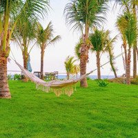 Chính Chủ Bán Resort Khủng Giáp Biển An Bàng Hội An 2000M2 Mặt Biển 30M