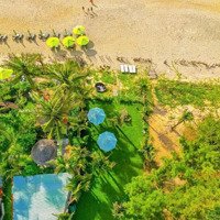 Chính Chủ Bán Resort Khủng Giáp Biển An Bàng Hội An 2000M2 Mặt Biển 30M