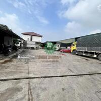 Cho thuê kho xưởng 600m2 đường Trần Đình San, xe container vào tận nơi