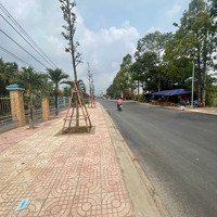 Mặt Tiền Kinh Doanh Đường Trần Công Tường 1980 M2