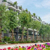 Chủ Đầu Tư Cần Cho Thuê Shophouse Kinh Doanh Tại Eco Central Park Vinh