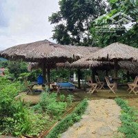 Homestay Đang Làm Dở