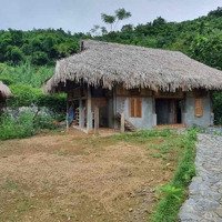 Homestay Đang Làm Dở