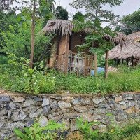 Homestay Đang Làm Dở