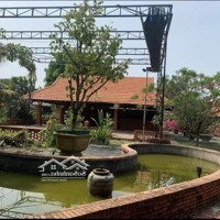 Cho Thuê Resort Nhà Hàng Sân Vườn View Trực Diện Sông Thoáng Mát