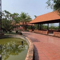 Cho Thuê Resort Nhà Hàng Sân Vườn View Trực Diện Sông Thoáng Mát