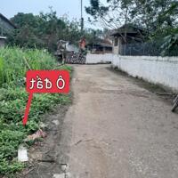 Bán 120m2 đất thôn 9 Hoàng hoa , Tam dương . Giá 5xxtr