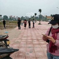 Bán Đất Đấu Giá Chu Trần, Tiến Thịnh, Mê Linh, Hà Nội