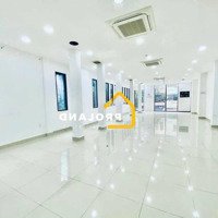 Cho Thuê Building Cư Xá Bắc Hải - 2Mt Bạch Mã, Phường 15, Quận 10