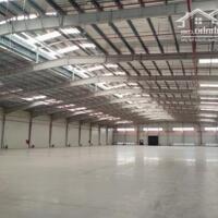 Cho thuê kho 1000m2 và 3500m2 Phường Linh Trung, Tp Thủ Đức