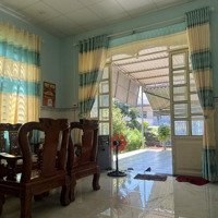 Bán Đất Xã Phước Tân Gần Chợ Cách Điệp 6Mx39M Có 50M2 Thổ Cư Cách Tl328 Vào 50M Đường Bàn Cờ Kdc