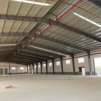 Cho thuê Kho tại KCX Tân Thuận, Tân Thuận Đông, Q7. dt kho 1300m2, giá 130k/m2