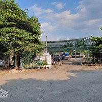 Cho Thuê 10.000M2 Đất Trống , Phường An Phú, Quận 2