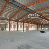 Kho Xưởng Cho Thuê Gấp 10,000 M2 Tại Khu Công Nghiệp Hải Sơn, Tân Đức Huyện Đức Hòa Tỉnh Long An