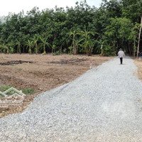 Tìm Chủ Mới Cho 1 Sào Đất Vườn Sổ Riêng - Trung Tâm An Cơ - Tây Ninh