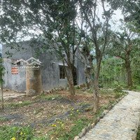 Bán Nhà Vườn Có Sẵn Nhà Vườn Ao Cá Xã Hòa Ninh Huyện Hòa Vang