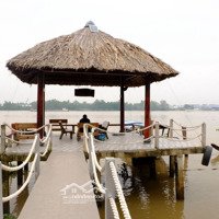 Chính Chủ Cần Bán Homestay Đã Đưa Vào Hoạt Động Ở Cồn Phụng