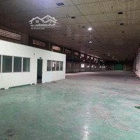 Kho Xưởng Tiêu Chuẩn Quốc Tế 1500M2, 3000M2, 5500M2 Kcn Sóng Thần