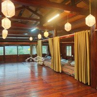 Cần Sang Nhượng Homestay Đang Kinh Doanh Tại Kim Bôi, Hòa Bình Diện Tích 3000M2