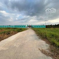Đất Lúa Phú Ngãi Trị Đường 5M- 34 X 76 ( 3000M2) - Quy Hoạch Ont