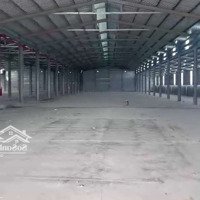 Cho Thuê Xưởng 5.000M2 Giá Thuê 200 Triệu