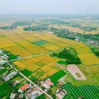 Chính Chủ Cần Bán 1800M2 Có 600M2 Đất Ở View Lúa Hoà Bắc