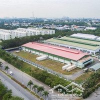 Đất Ngộp 5X40=200M2 Shr Ngay Chợ Trường Học, Dân Đông Giá Bán 160 Triệu