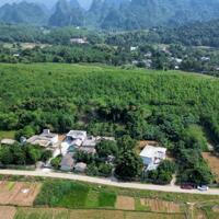 Cần bán siêu phẩm 605m 450m thổ cư view cánh đồng núi đá Thanh Sơn Lương Sơn Hoà Bình