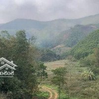 Bán Siêu Phẩm Nghỉ Dưỡng Tại Lương Sơn Hòa Bình.diện Tích14000M2 Có 400M2 Đất Ont, Vị Trí Đắc Địa