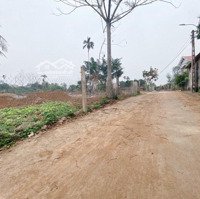 Muốn Bán 200M2 Đất Thổ Cư Tại Khu Tái Định Cư Đồng Dinh Cây Gạo, Xã Xuân Sơn, Sơn Tây, Hà Nội