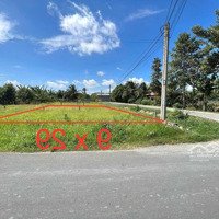 Lô Đất 2Mặt Tiềnđường Nguyễn Thị Châu 9X29 (261M), Củ Chi Bán Chỉ 1 Tỷ 350