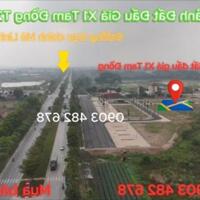 Cần bán đất đấu giá X1 Tam Đồng, Mê Linh