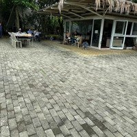 Bán Gấp 3206 M2 Đất Có 300M2 Đất Ở Giá Cực Tốt, Cần Bán Nhanh Đất Đã Có Nhà Và Cây Cối Xanh Mát