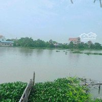 Bán Nhà Vườn 1000M2 View Sông Đa Độ, Cẩm Hoàn, Thanh Sơn, Kiến Thụy, Hải Phòng