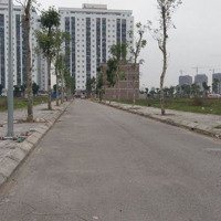 Bán Đất Liền Kề 100M2 Giá 58 Triệu/M2 Tại Khu Đô Thị Thanh Hà Cienco5
