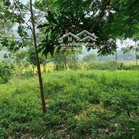 Bán Đất Thổ Cư View Đẹp Giá Siêu Rẻ Tại Lương Sơn, Hòa Bình.