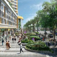 Celadoncity Rổ Hàngchủ Đầu Tưmới Nhất T3/2024, Ký Hđ 15%, Trả Chậm 36 Tháng